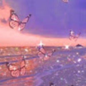 Meet your Posher, Callie